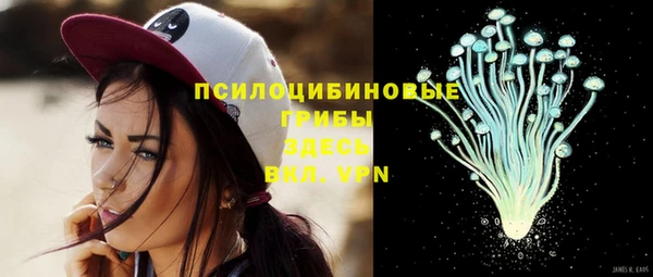 тгк Краснослободск